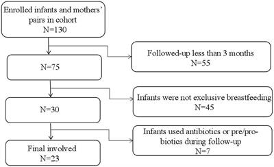 Functional proteins in breast milk and their correlation with the development of the infant gut microbiota: a study of mother-infant pairs